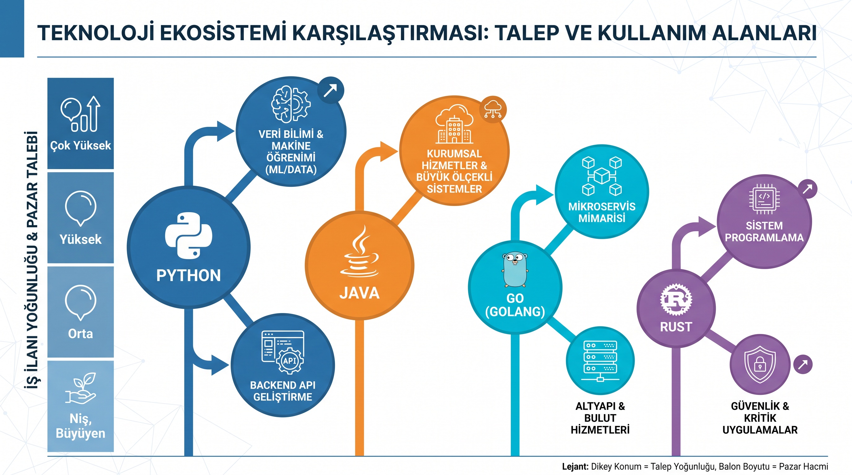 Türkiye iş ilanlarında Python, Java, Go ve Rust dillerinin talep yoğunluğu ve uygulama alanlarını karşılaştırıyor.
