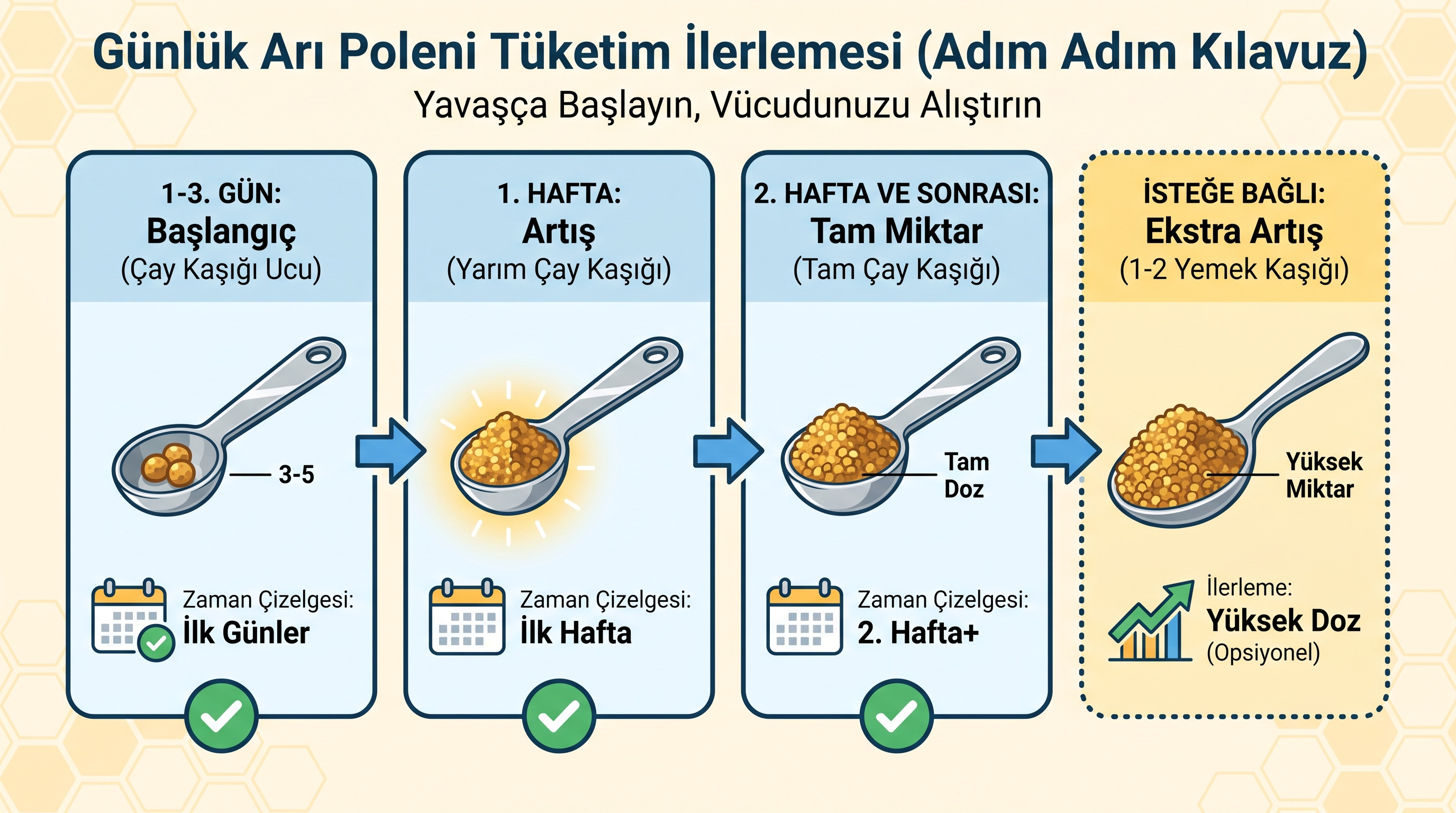 Günlük arı poleni tüketim ilerlemesi; 1-3. gün başlangıç, 1. hafta artış, 2. hafta ve sonrası tam miktar ve isteğe bağlı ekstra artış aşamaları